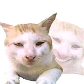 Câ