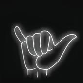 Gi