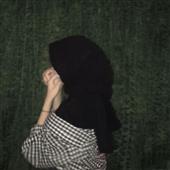 Cung
