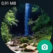 Mơ