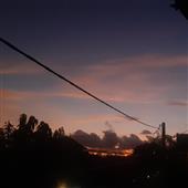 Tê