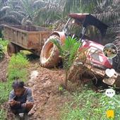 Nữ