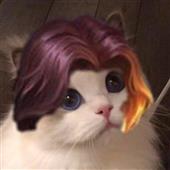 Mô