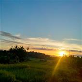 Wi