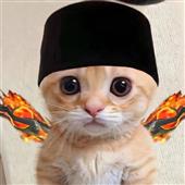 Alib