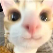 Ví d