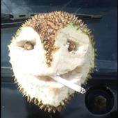 Ga