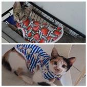 Chúa