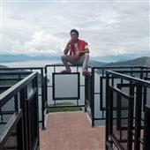 Dự đ
