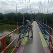 đội 