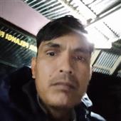 Vu