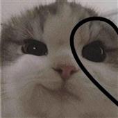 Bách