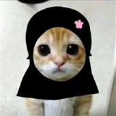 Roya