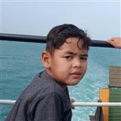 độ
