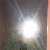 Đi