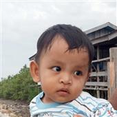 Đồ
