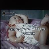 PubT