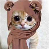 Nữ