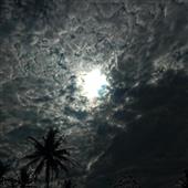Ngưu