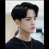 Poin