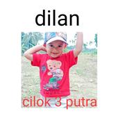 Cu