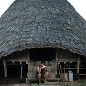 Tự t