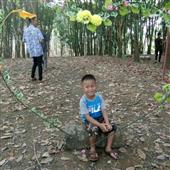 Kế