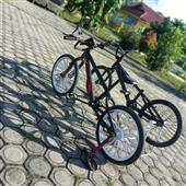 Miss