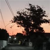 IP