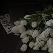 Dự