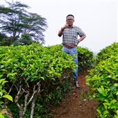 Vậ