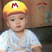 Vệ t