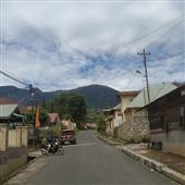 mạ