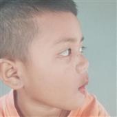Dự đ