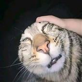 Th