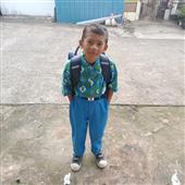 Bola