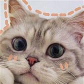 Bắ