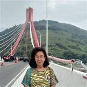 Poin
