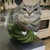 Ch