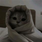 Cu