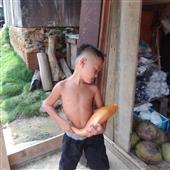 Mạ