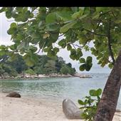 Chạy