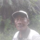 Gi