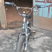 Báo 