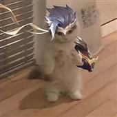 Sp