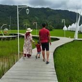 Tỷ