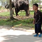 Đị
