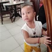 Cung