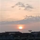 Vị