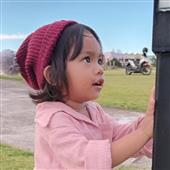 Dự